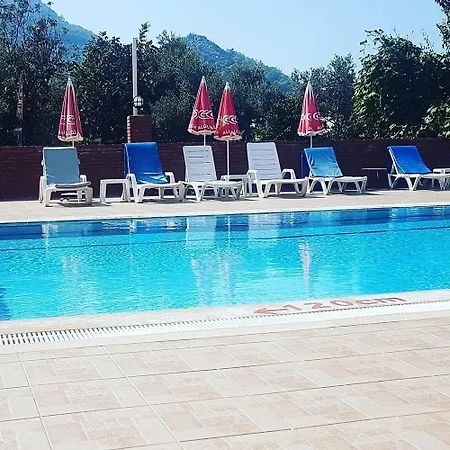 Hayat