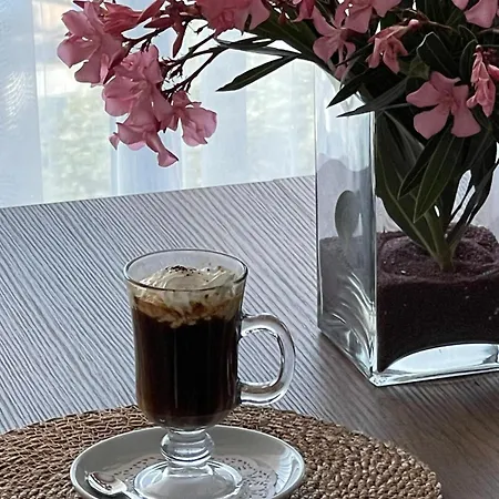 Hayat